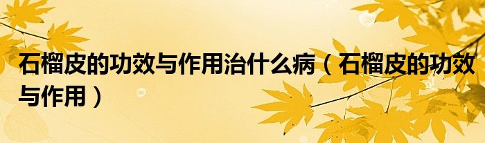 石榴皮的功效与作用治什么病(石榴皮的功效与作用)