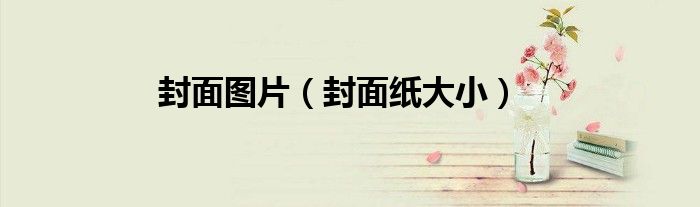 封面图片（封面纸大小）