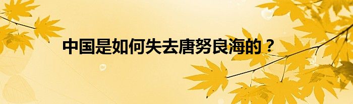 中国是如何失去唐努良海的?