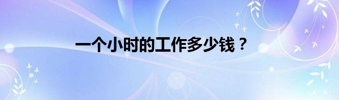 一个小时的工作多少钱？