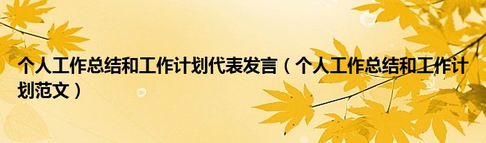 个人工作总结和工作计划代表发言(个人工作总结和工作计划范文)