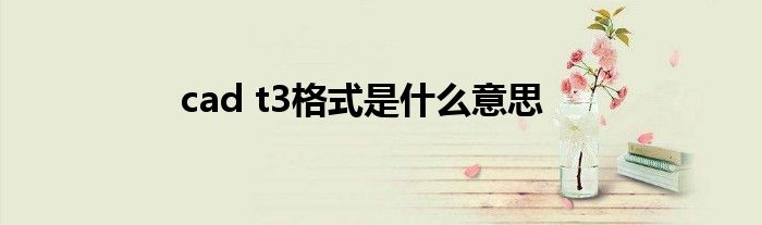 cad t3格式是什么意思
