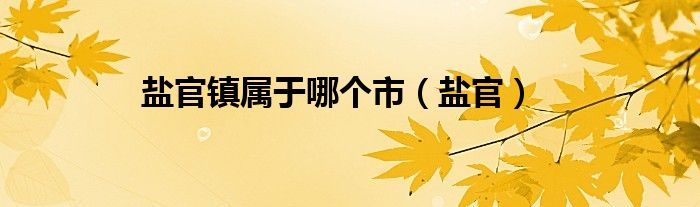 盐官镇属于哪个市(盐官)