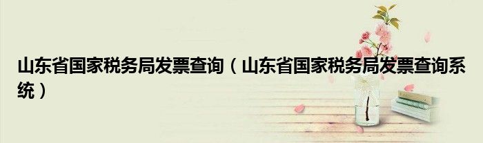 山东省国家税务局发票查询(山东省国家税务局发票查询系统)
