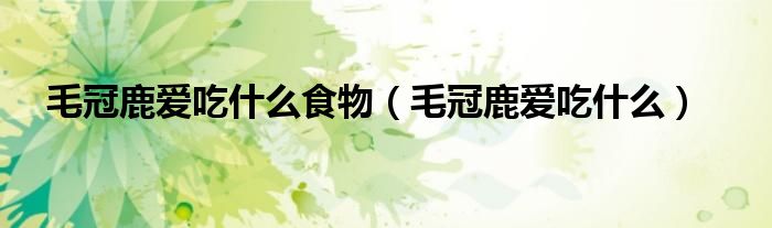 毛冠鹿爱吃什么食物(毛冠鹿爱吃什么)