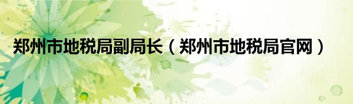 郑州市地税局副局长(郑州市地税局官网)
