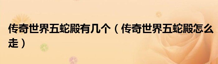 传奇世界五蛇殿有几个(传奇世界五蛇殿怎么走)