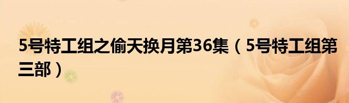 5号特工组之偷天换月第36集(5号特工组第三部)