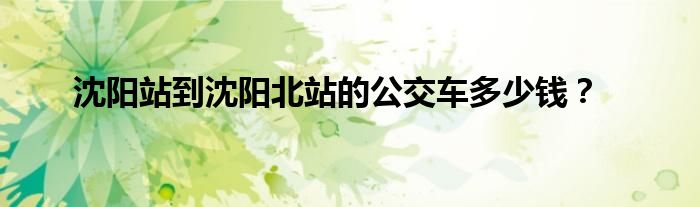 沈阳站到沈阳北站的公交车多少钱?