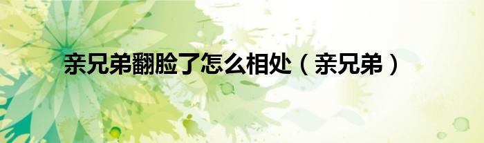 亲兄弟翻脸了怎么相处(亲兄弟)