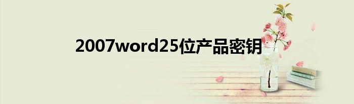 2007word25位产品密钥
