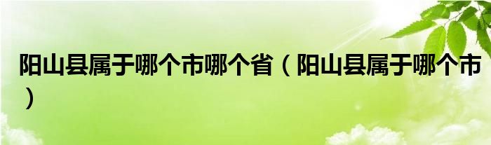 阳山县属于哪个市哪个省(阳山县属于哪个市)