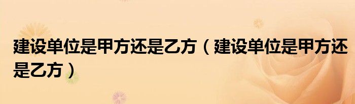 建设单位是甲方还是乙方(建设单位是甲方还是乙方)