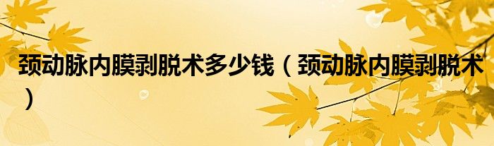 颈动脉内膜剥脱术多少钱(颈动脉内膜剥脱术)