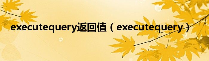 executequery返回值(executequery)