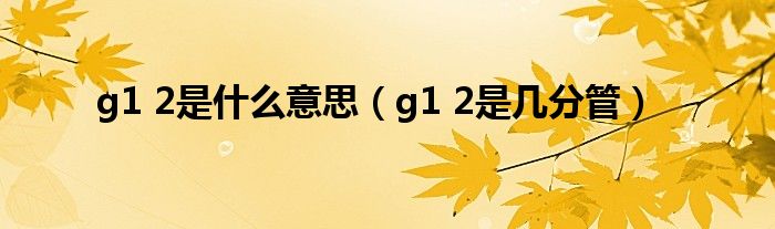 g1 2是什么意思(g1 2是几分管)
