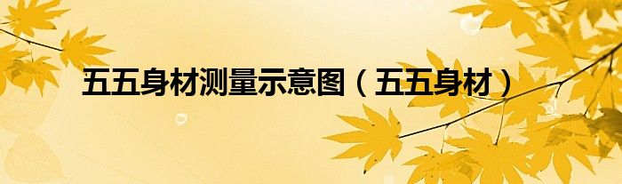 五五身材测量示意图(五五身材)