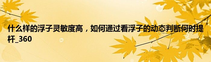什么样的浮子灵敏度高,如何通过看浮子的动态判断何时提杆_360