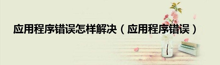 应用程序错误怎样解决(应用程序错误)