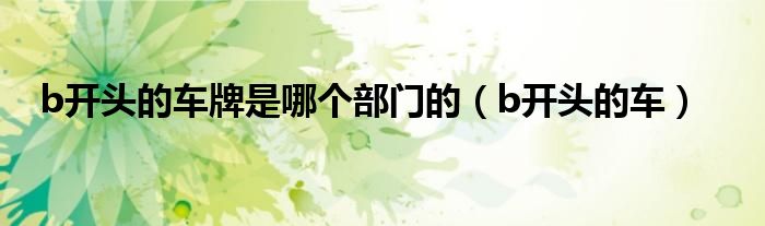 b开头的车牌是哪个部门的(b开头的车)