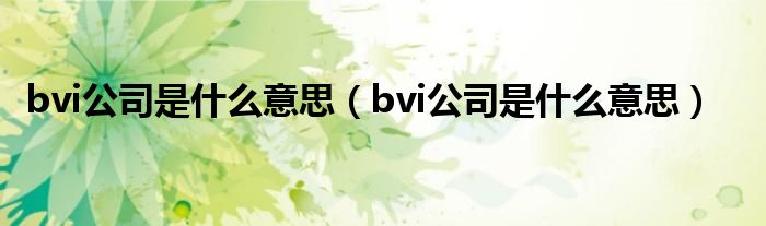 bvi公司是什么意思(bvi公司是什么意思)