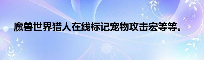 魔兽世界猎人在线标记宠物攻击宏等等。