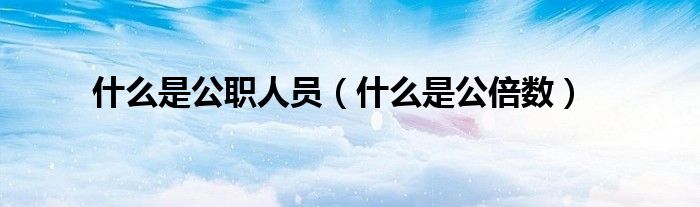 什么是公职人员(什么是公倍数)