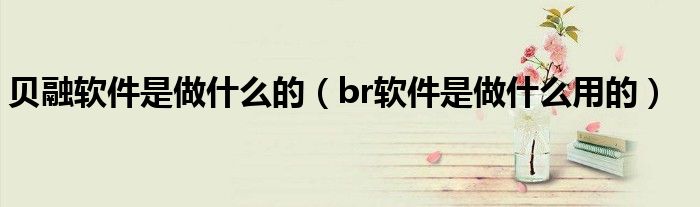 贝融软件是做什么的(br软件是做什么用的)