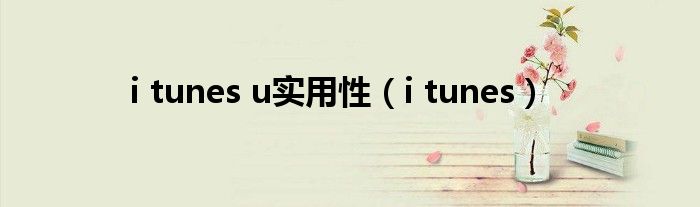i tunes u实用性(i tunes)