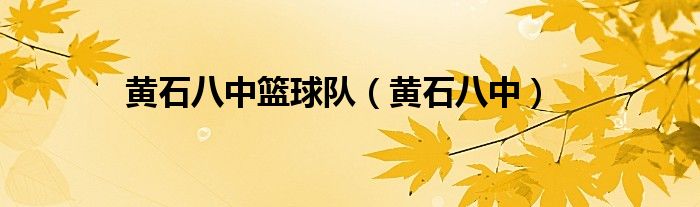 黄石八中篮球队（黄石八中）