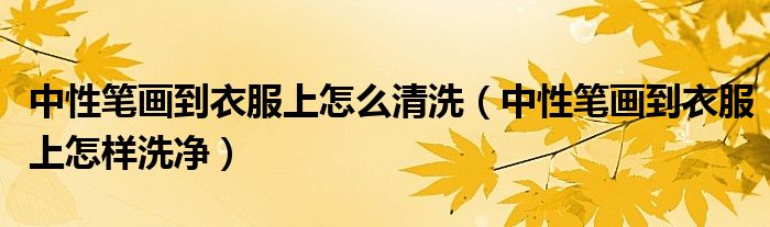 中性笔画到衣服上怎么清洗(中性笔画到衣服上怎样洗净)