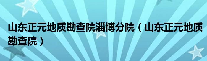 山东正元地质勘查院淄博分院(山东正元地质勘查院)