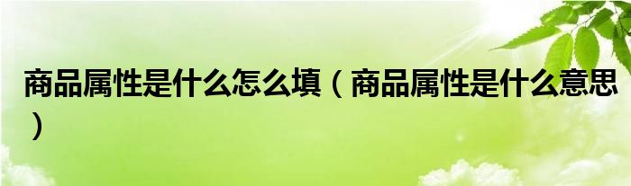 商品属性是什么怎么填(商品属性是什么意思)