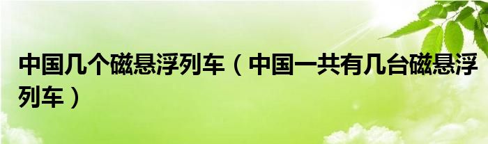 中国几个磁悬浮列车(中国一共有几台磁悬浮列车)