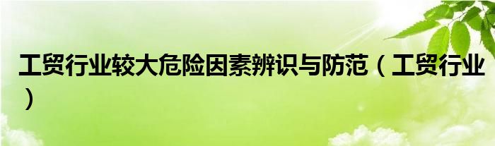 工贸行业较大危险因素辨识与防范(工贸行业)