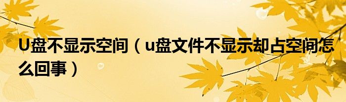 U盘不显示空间(u盘文件不显示却占空间怎么回事)