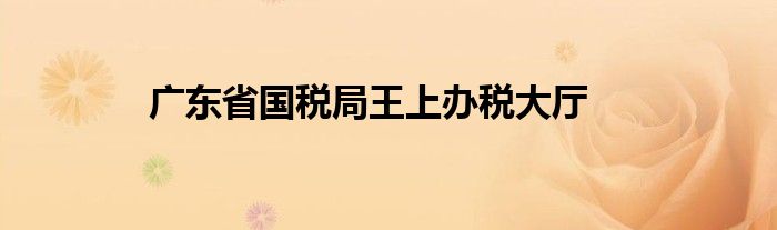 广东省国税局王上办税大厅