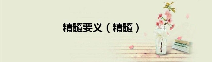 精髓要义（精髓）