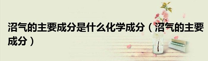 沼气的主要成分是什么化学成分(沼气的主要成分)