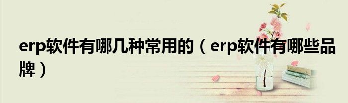 erp软件有哪几种常用的(erp软件有哪些品牌)