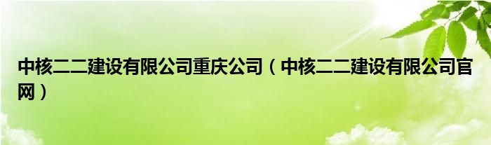 中核二二建设有限公司重庆公司(中核二二建设有限公司官网)