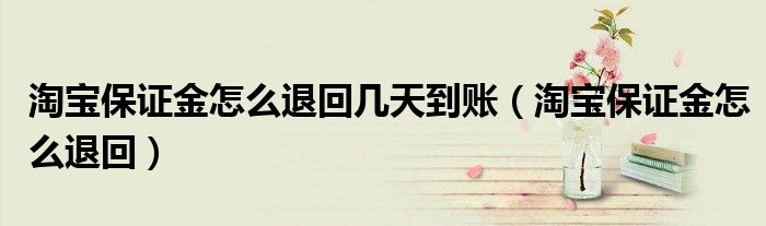 淘宝保证金怎么退回几天到账(淘宝保证金怎么退回)