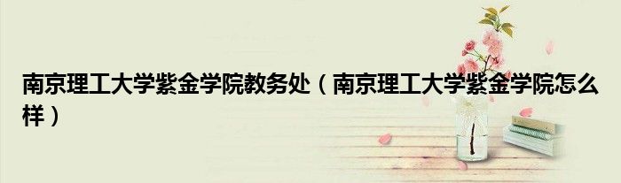 南京理工大学紫金学院教务处(南京理工大学紫金学院怎么样)
