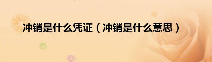 冲销是什么凭证(冲销是什么意思)