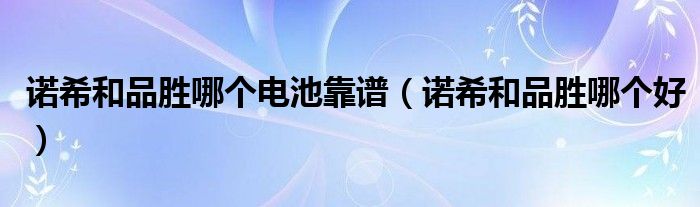 诺希和品胜哪个电池靠谱(诺希和品胜哪个好)