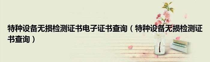 特种设备无损检测证书电子证书查询(特种设备无损检测证书查询)