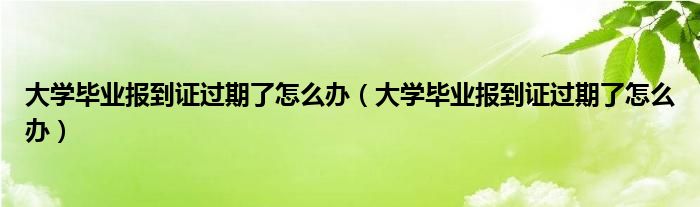 大学毕业报到证过期了怎么办(大学毕业报到证过期了怎么办)