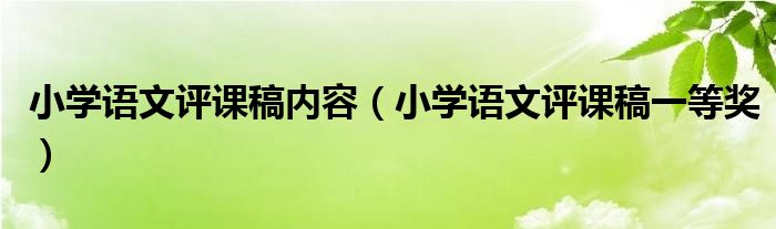 小学语文评课稿内容(小学语文评课稿一等奖)