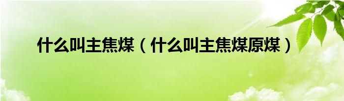 什么叫主焦煤(什么叫主焦煤原煤)