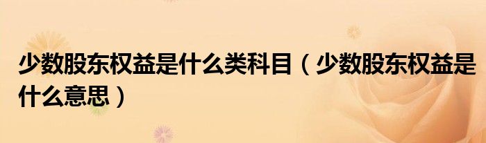 少数股东权益是什么类科目(少数股东权益是什么意思)